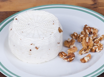 Ricotta